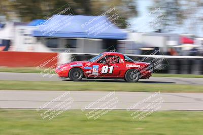 media/Mar-16-2024-CalClub SCCA (Sat) [[de271006c6]]/Group 6/Race/